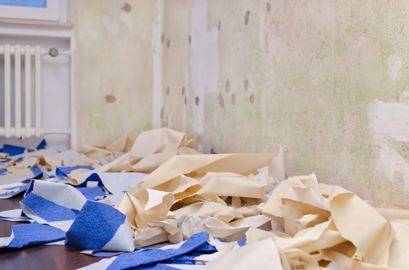 Wall Removal Service
